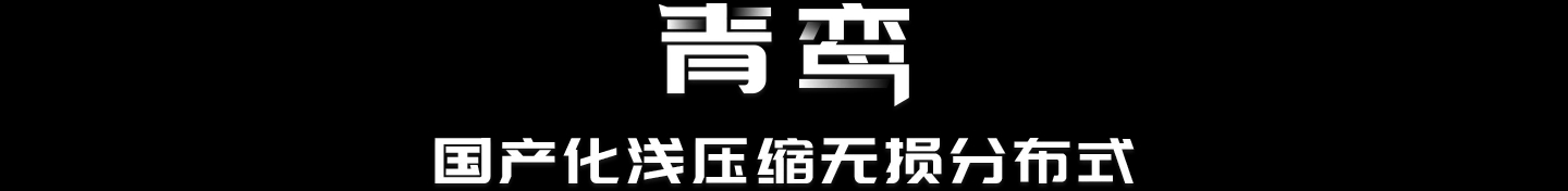 青鸾-国产化浅压缩无损分布式