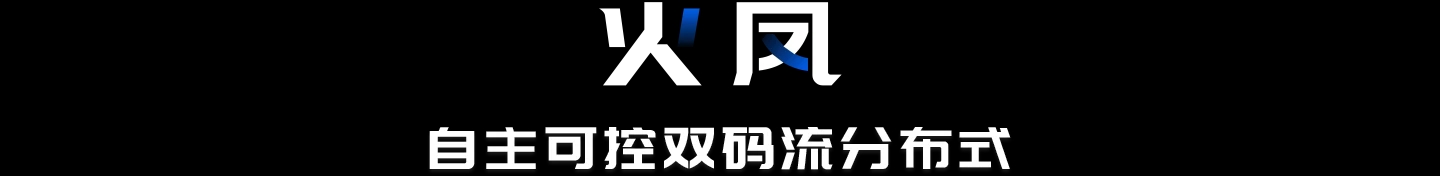 火凤-自主可控双码流分布式
