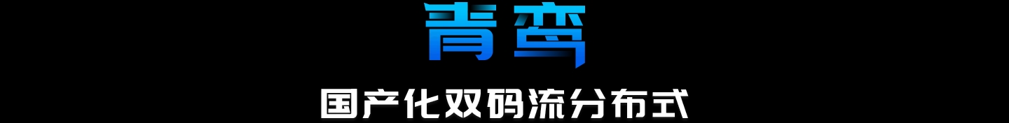 青鸾-国产化双码流分布式